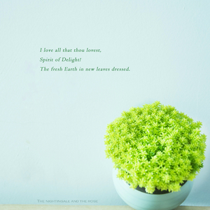 亚洲精品自在线拍
